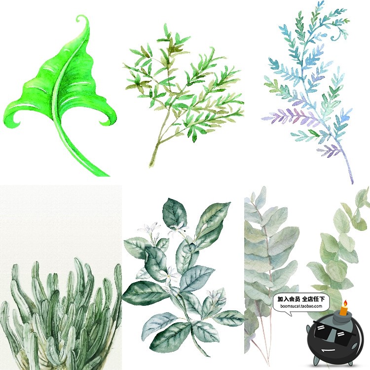 图片[5]-文艺小清新北欧景观植物绿色叶子图案高清JPG图片插画设计素材-设计猿