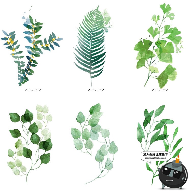 图片[7]-文艺小清新北欧景观植物绿色叶子图案高清JPG图片插画设计素材-设计猿