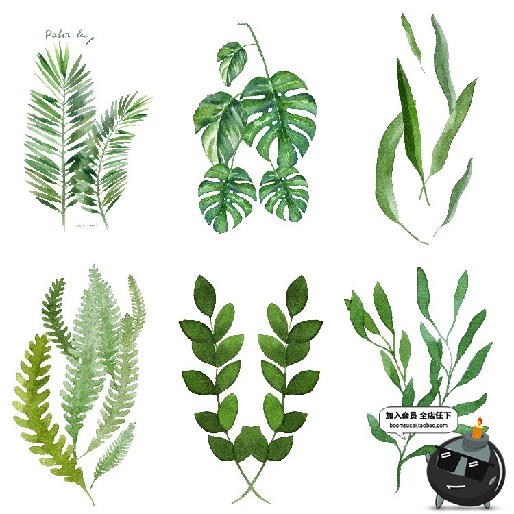 图片[8]-文艺小清新北欧景观植物绿色叶子图案高清JPG图片插画设计素材-设计猿