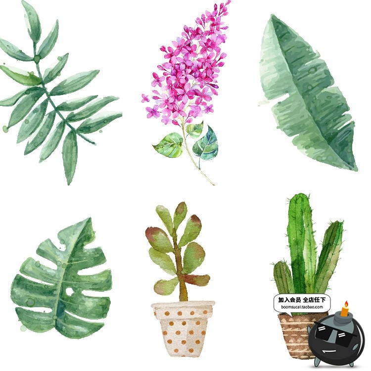 图片[10]-文艺小清新北欧景观植物绿色叶子图案高清JPG图片插画设计素材-设计猿