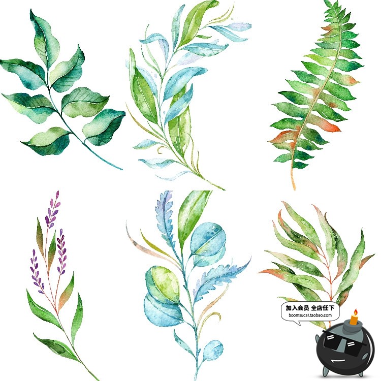 图片[11]-文艺小清新北欧景观植物绿色叶子图案高清JPG图片插画设计素材-设计猿