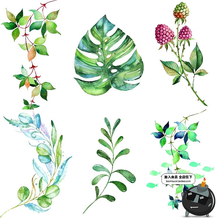 图片[12]-文艺小清新北欧景观植物绿色叶子图案高清JPG图片插画设计素材-设计猿