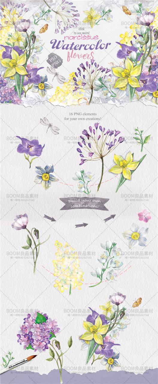 图片[1]-唯美紫色植物牵牛花手绘手账彩色PNG元素婚礼卡片免抠背景PS素材-设计猿