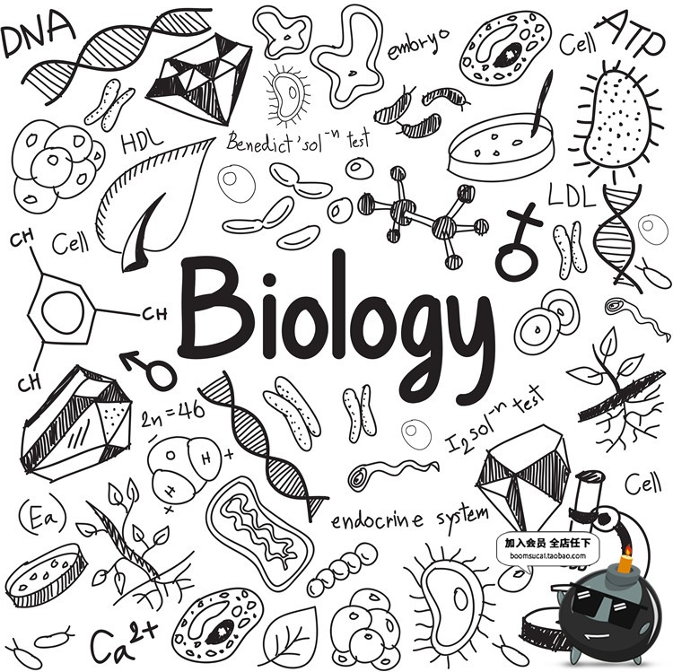 图片[5]-天文化学物理数学生物公式黑白简约线描符号图案AI矢量设计素材-设计猿