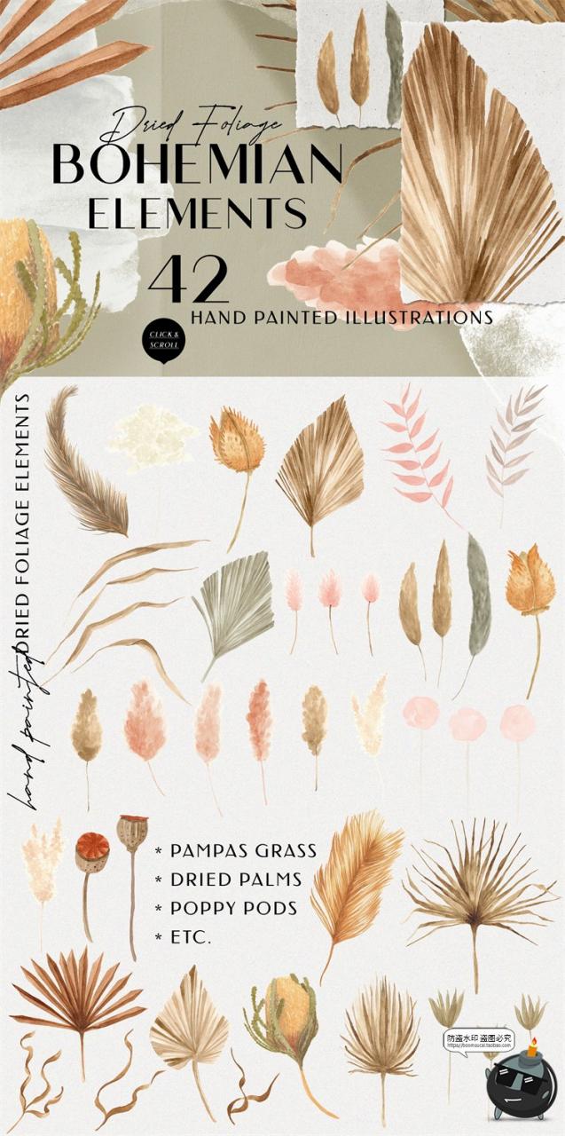 图片[5]-轻奢手绘水彩艺术装饰波西米亚干树叶植物插画图片PNG免抠素材-设计猿