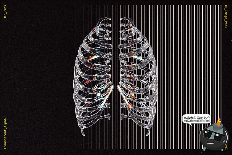 图片[8]-潮流3D立体玻璃透明水晶骷髅骨骼装饰元素视觉海报PNG免抠PS素材-设计猿