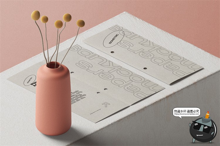 图片[5]-北欧风场景2.5D侧方位视角品牌VI包装文艺场景样机PSD模板PS素材-设计猿