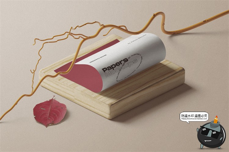 图片[11]-北欧风场景2.5D侧方位视角品牌VI包装文艺场景样机PSD模板PS素材-设计猿