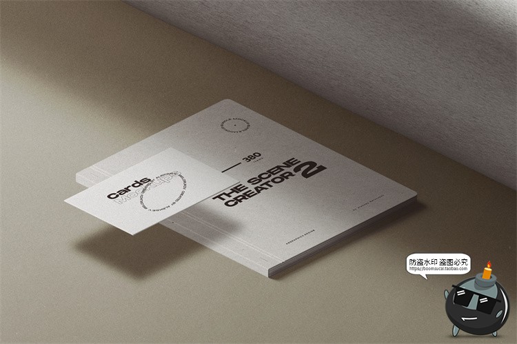 图片[13]-北欧风场景2.5D侧方位视角品牌VI包装文艺场景样机PSD模板PS素材-设计猿