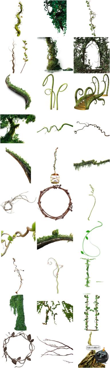 图片[3]-春天绿色树藤青藤蔓树叶花藤枯枝条装饰元素透明背景PNG免抠素材-设计猿