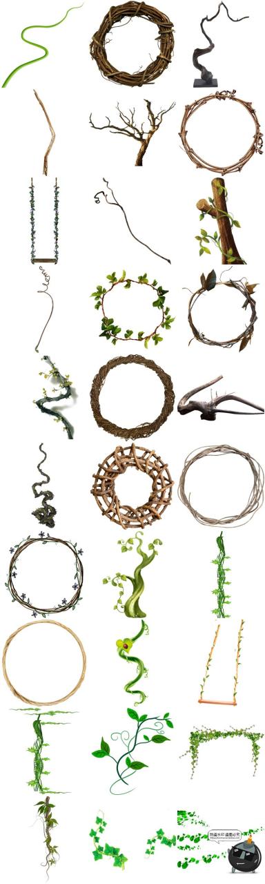 图片[4]-春天绿色树藤青藤蔓树叶花藤枯枝条装饰元素透明背景PNG免抠素材-设计猿