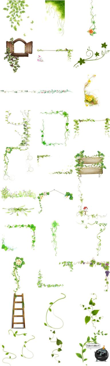 图片[5]-春天绿色树藤青藤蔓树叶花藤枯枝条装饰元素透明背景PNG免抠素材-设计猿