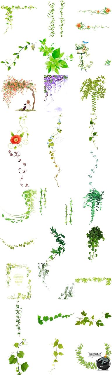 图片[6]-春天绿色树藤青藤蔓树叶花藤枯枝条装饰元素透明背景PNG免抠素材-设计猿