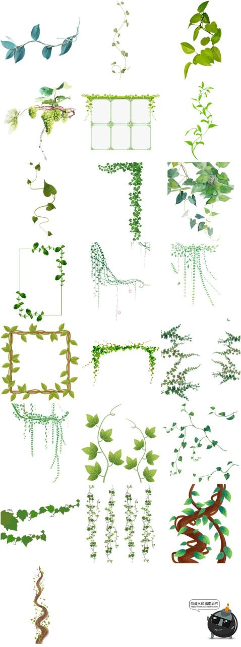 图片[7]-春天绿色树藤青藤蔓树叶花藤枯枝条装饰元素透明背景PNG免抠素材-设计猿