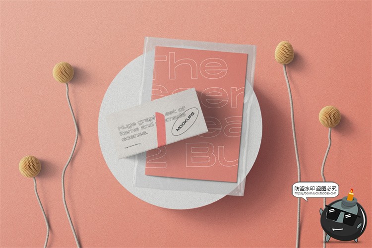 图片[1]-北欧风正视角场景文艺小清新潮品牌VI包装场景PSD模板样机PS素材-设计猿