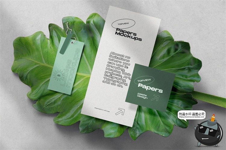 图片[2]-北欧风正视角场景文艺小清新潮品牌VI包装场景PSD模板样机PS素材-设计猿