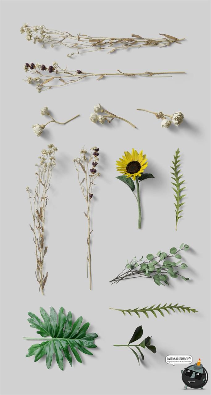 图片[35]-北欧风正视角场景文艺小清新潮品牌VI包装场景PSD模板样机PS素材-设计猿