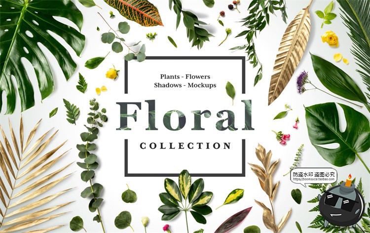 图片[1]-自然轻奢现代花卉植物叶子鲜花干花桌面场景装饰元素PSD模板素材-设计猿