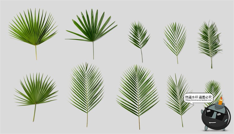 图片[2]-自然轻奢现代花卉植物叶子鲜花干花桌面场景装饰元素PSD模板素材-设计猿