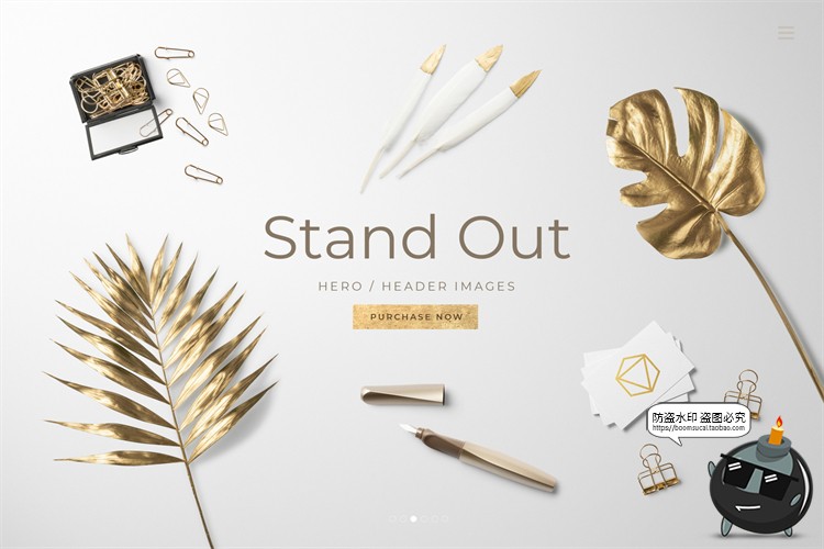 图片[7]-自然轻奢现代花卉植物叶子鲜花干花桌面场景装饰元素PSD模板素材-设计猿