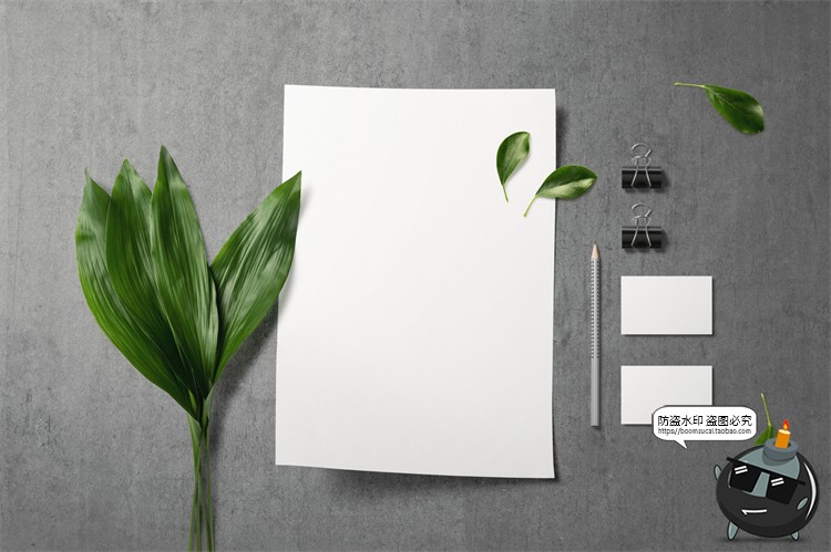 图片[8]-自然轻奢现代花卉植物叶子鲜花干花桌面场景装饰元素PSD模板素材-设计猿