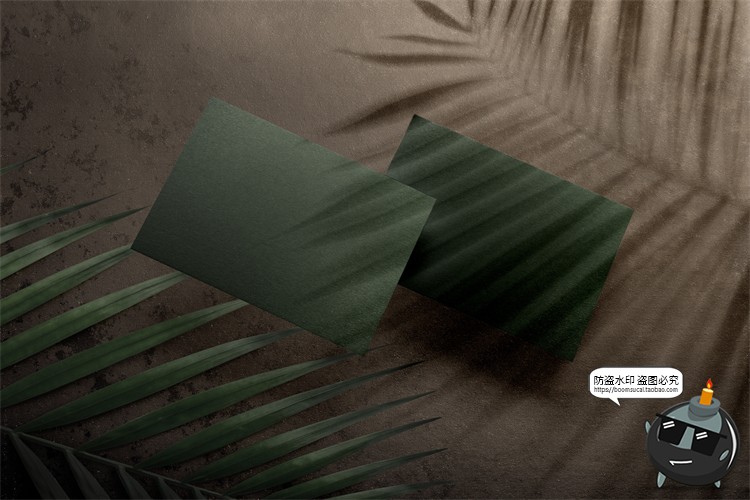 图片[9]-自然轻奢现代花卉植物叶子鲜花干花桌面场景装饰元素PSD模板素材-设计猿