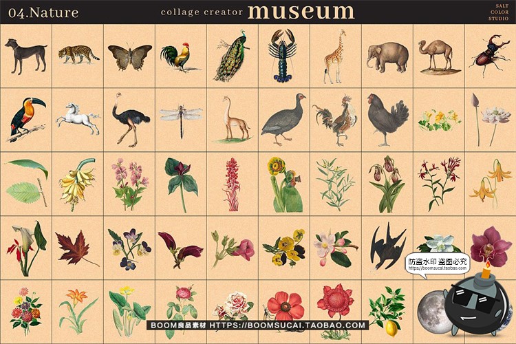 图片[10]-中世纪复古潮流绘画怀旧老照片艺术剪贴画PNG免抠插画图片素材-设计猿