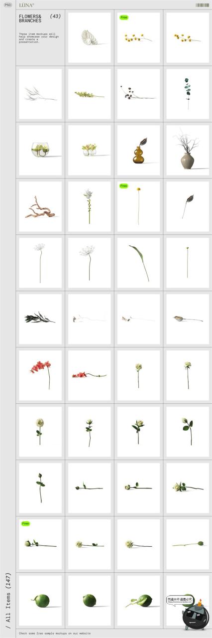 图片[8]-北欧护肤品精油面霜乳液花植物石头温馨场景包装样机PSD模板素材-设计猿