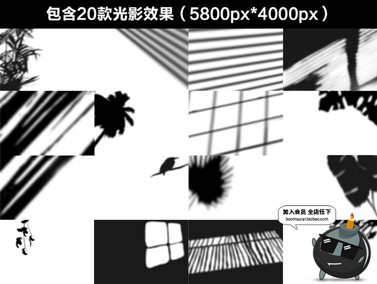 图片[2]-自然植物阳光阴影效果VI海报贴图样机背景纹理PNG+PSD合成PS素材-设计猿