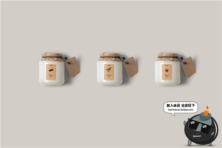 图片[12]-食品零食坚果五谷罐子瓶子包装袋品牌VI样机模板PSD分层设计素材-设计猿