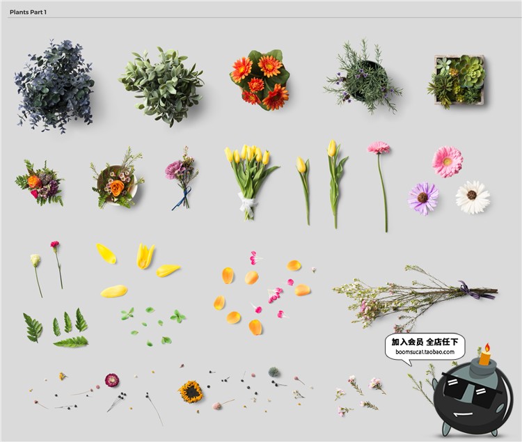 图片[35]-北欧风家居摆件道具相框手工制品场景海报专题PSD模板PS设计素材-设计猿