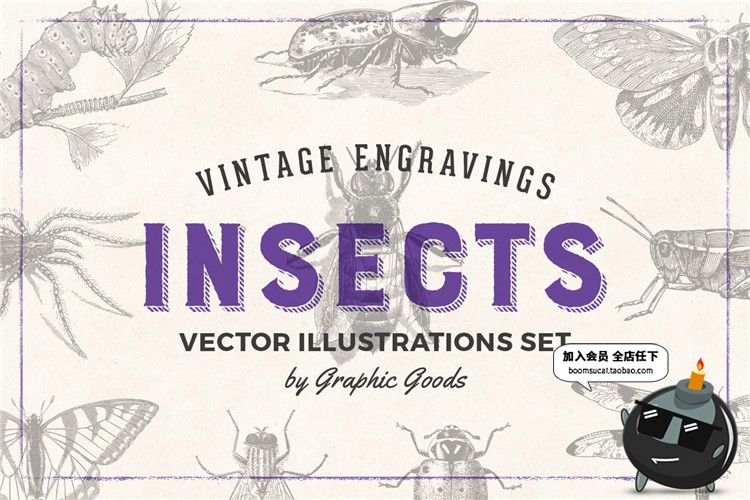 图片[1]-复古手绘风格昆虫苍蝇碟爬虫节肢动物元素PNG免扣AI矢量设计素材-设计猿