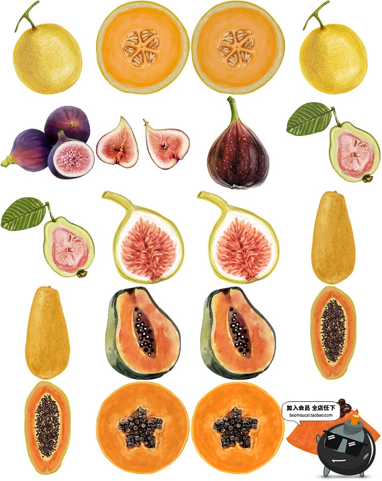 图片[2]-手绘水彩水果西瓜石榴芒果奶茶菜单元素横切面AI矢量PNG装饰素材-设计猿