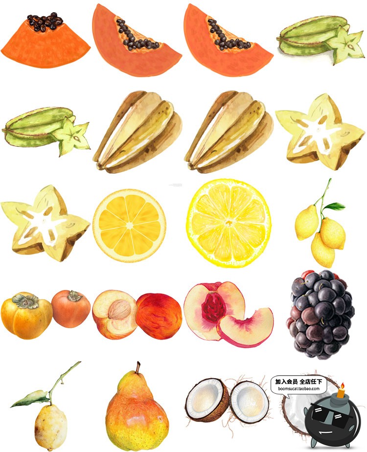 图片[3]-手绘水彩水果西瓜石榴芒果奶茶菜单元素横切面AI矢量PNG装饰素材-设计猿