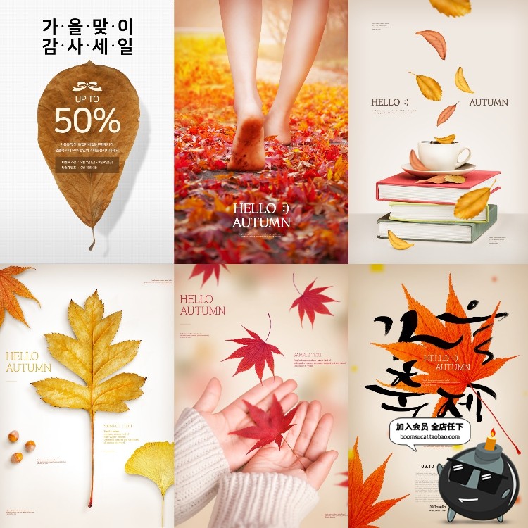 图片[4]-韩风时尚简约秋季落叶入秋活动设计排版促销广告海报PSD模板素材-设计猿