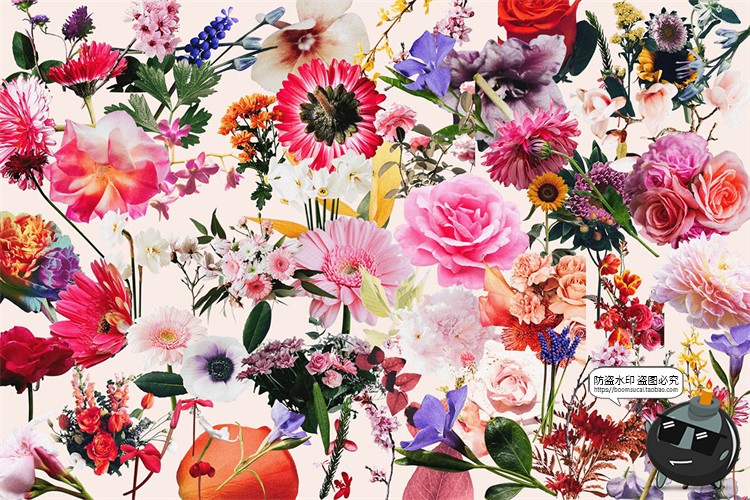 图片[5]-半色调复古鲜花花卉花朵颗粒感风格装饰元素剪贴画PNG免抠素材-设计猿