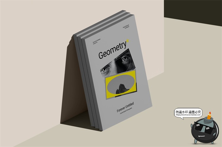 图片[2]-欧式极简冷淡风A4画册书本杂志书籍智能贴图样机PSD模板PS素材-设计猿