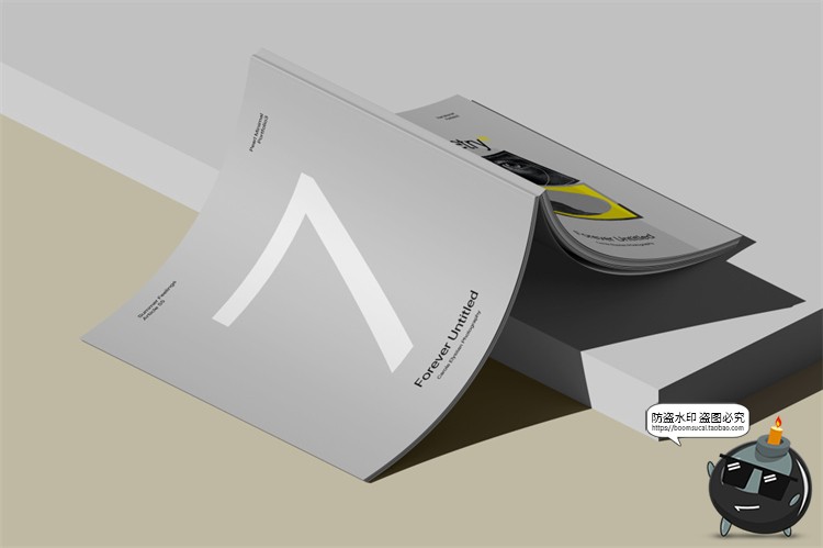 图片[4]-欧式极简冷淡风A4画册书本杂志书籍智能贴图样机PSD模板PS素材-设计猿