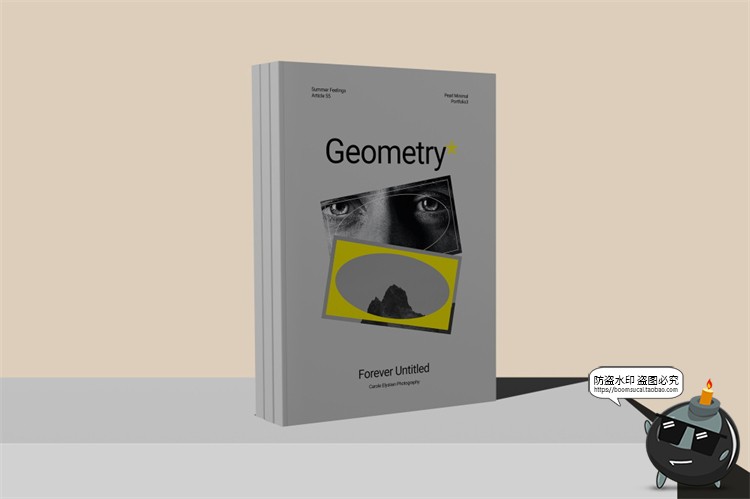 图片[15]-欧式极简冷淡风A4画册书本杂志书籍智能贴图样机PSD模板PS素材-设计猿