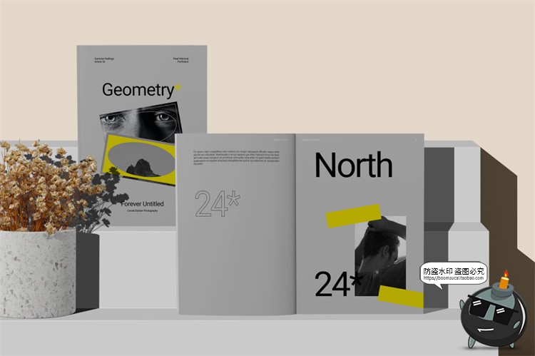图片[16]-欧式极简冷淡风A4画册书本杂志书籍智能贴图样机PSD模板PS素材-设计猿