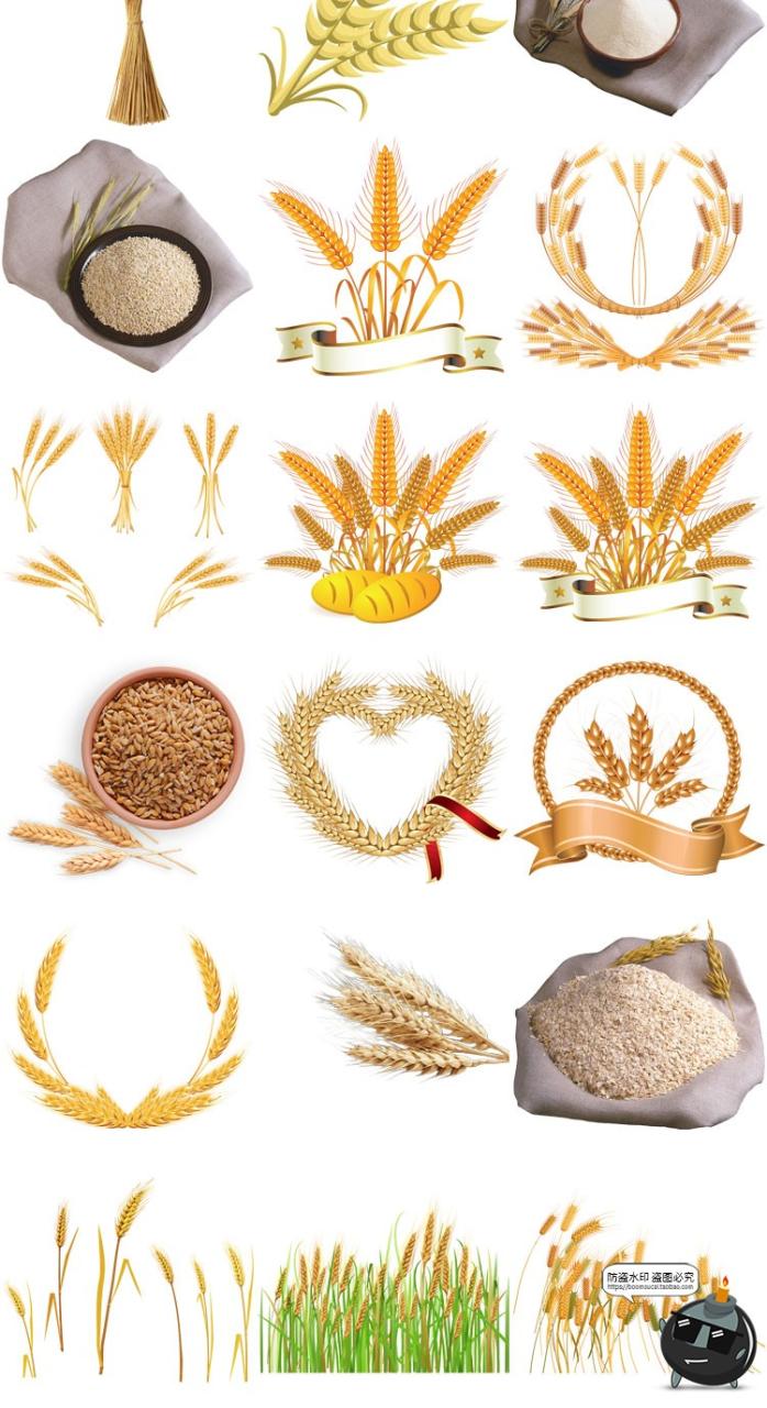 图片[4]-小麦稻穗麦穗粮食金黄成熟水稻大米免扣元素装饰PNG免抠图片素材-设计猿