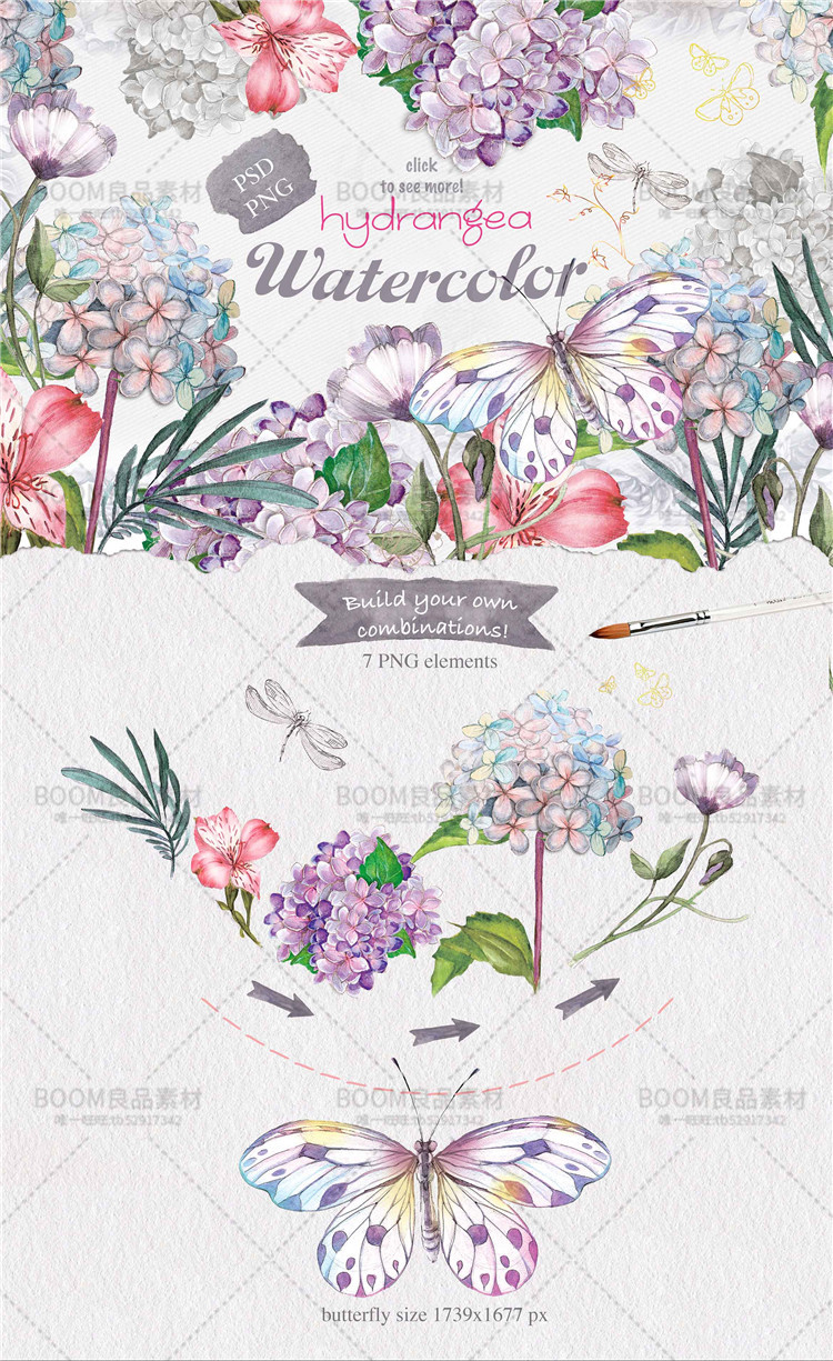 图片[1]-紫色花朵优雅唯美彩色蝴蝶手绘植物浪漫元素PNG免抠元素设计素材-设计猿