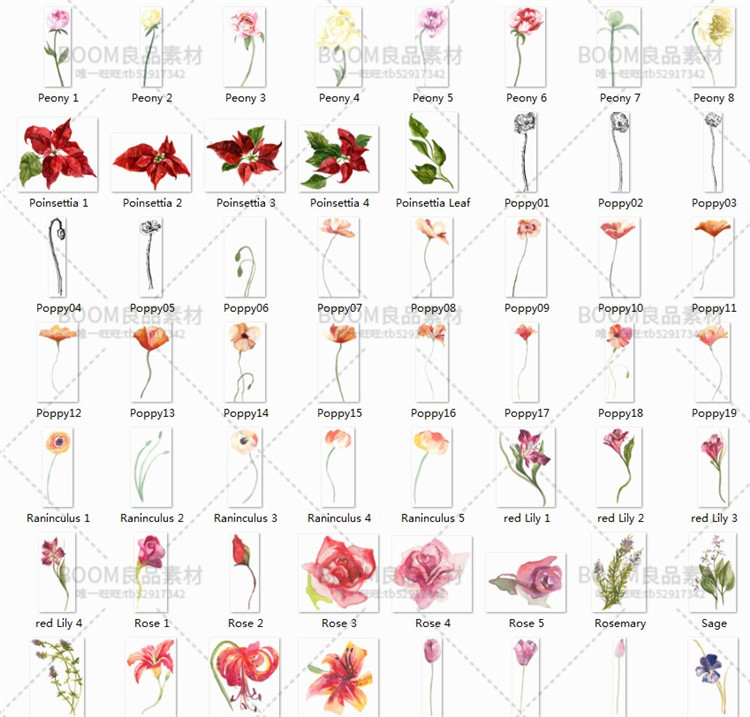 图片[2]-唯美水彩风花朵集合玫瑰百合郁金香请柬贺卡片印刷PNG免扣PS素材-设计猿