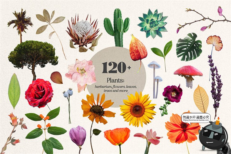 图片[11]-复古波普蒸汽波拼接剪贴画人物建筑植物撕纸笔迹抽象PNG免抠素材-设计猿