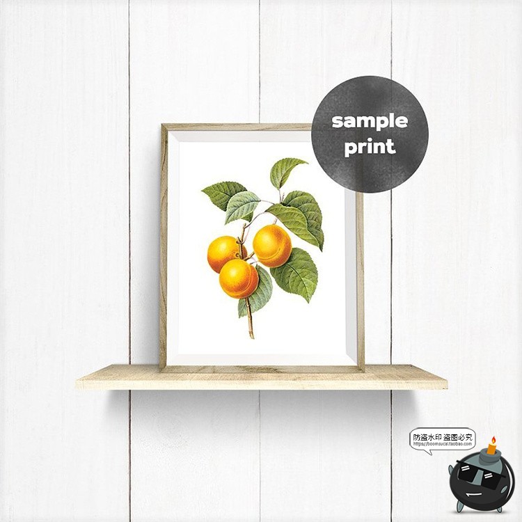 图片[6]-文艺木质画框木框相框场景模拟效果展示mockups样机PSD模板PS素材-设计猿