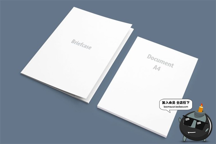 图片[3]-企业公司品牌宣传办公室物料全套 效果展示文创样机PSD模板PS素材-设计猿