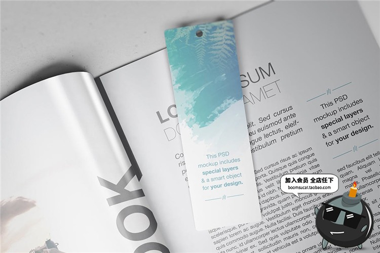 图片[4]-书籍装帧书签卡片吊牌精装包装设计VI文创样机PSD模型mockups素材-设计猿