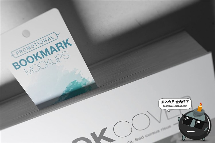 图片[9]-书籍装帧书签卡片吊牌精装包装设计VI文创样机PSD模型mockups素材-设计猿