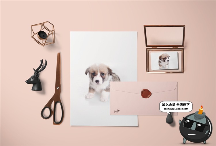 图片[4]-宠物用品品牌周边样机VI智能贴图包装LOGO展示效果PSD模板PS素材-设计猿