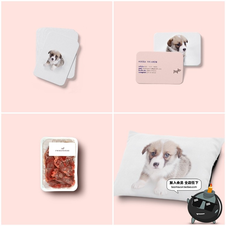 图片[7]-宠物用品品牌周边样机VI智能贴图包装LOGO展示效果PSD模板PS素材-设计猿